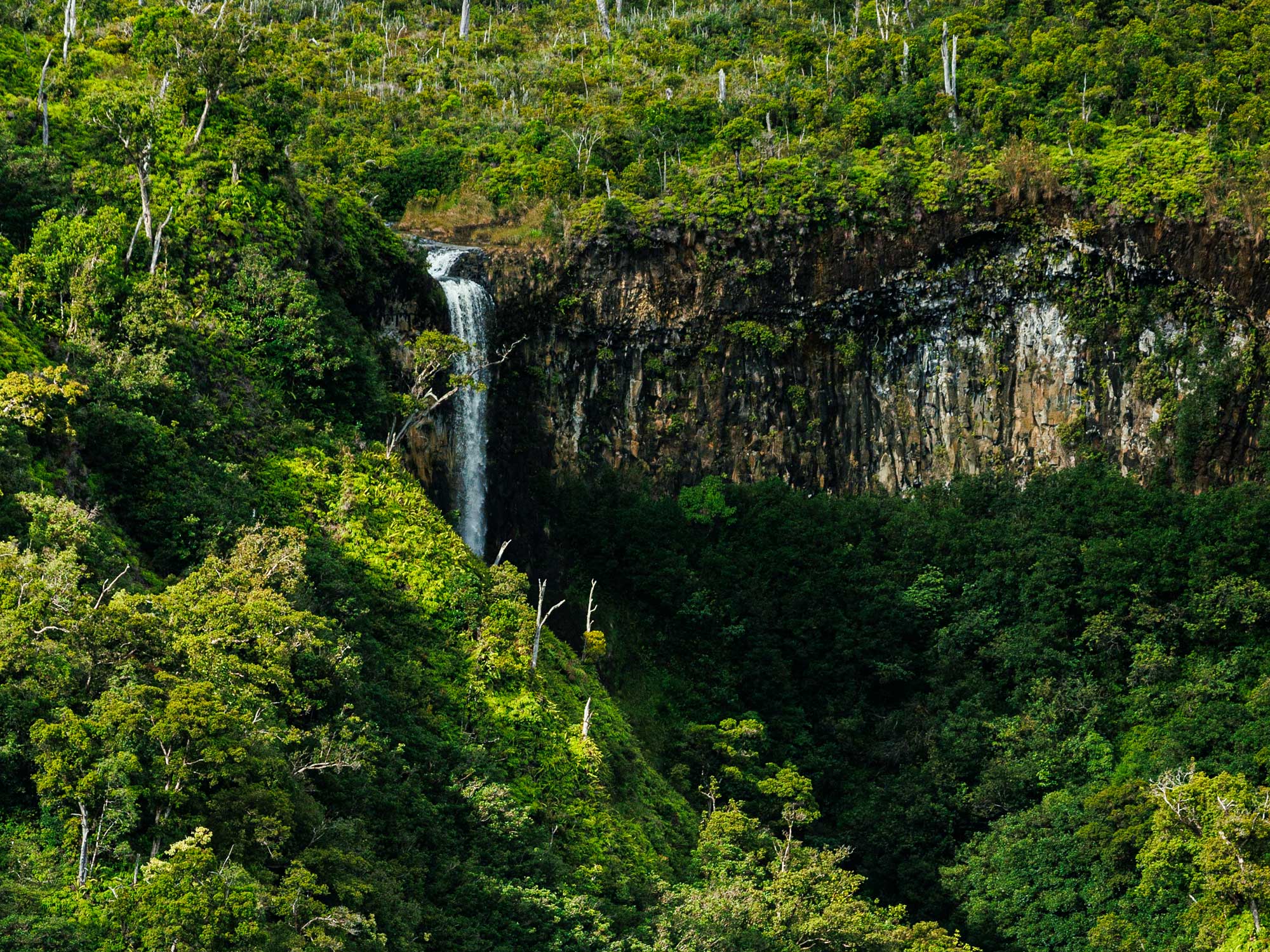 Kauai Waterfall